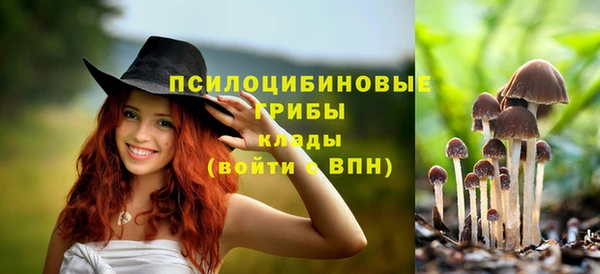 ешки Осинники