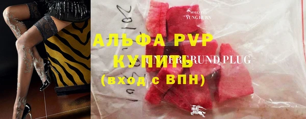 PSILOCYBIN Сясьстрой
