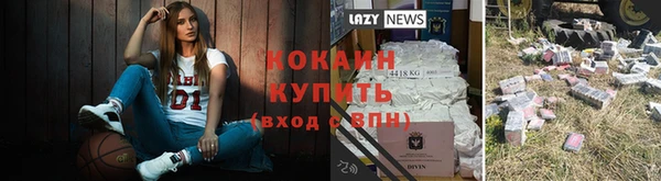 apvp Осташков