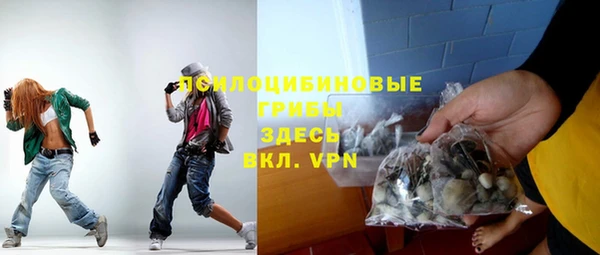 apvp Осташков